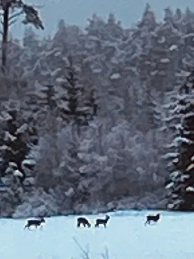 Hyresbostad på Vaggeryd i vaggeryd
