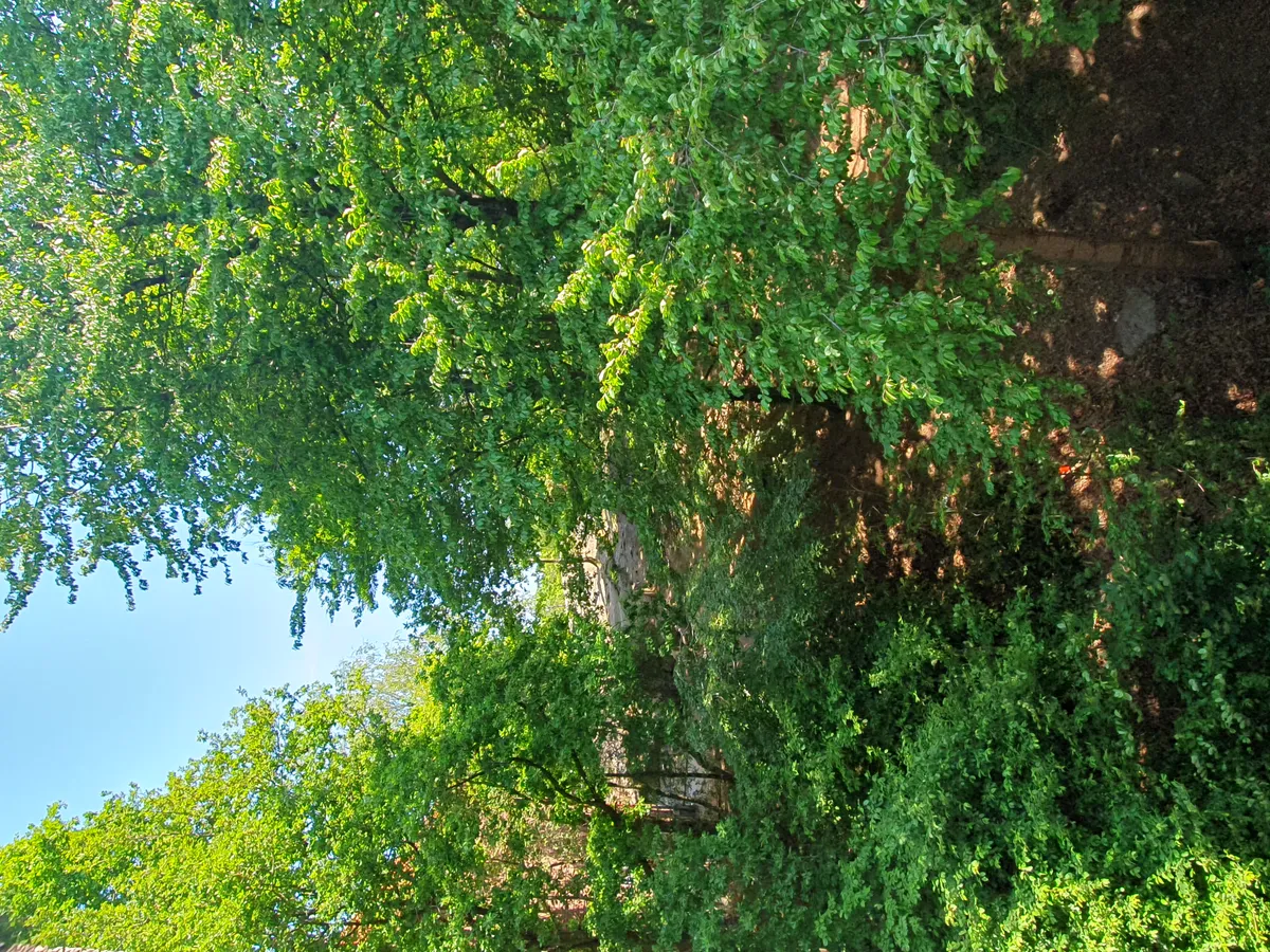 Hyresbostad på Göteborg i goteborg