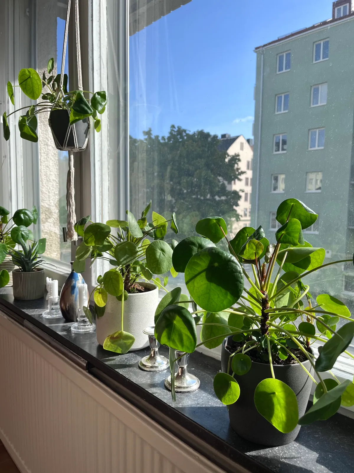 Hyreslägenhet på Solna i solna