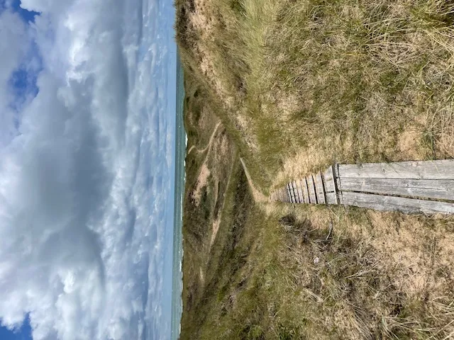 Hyresbostad på Halmstad i halmstad