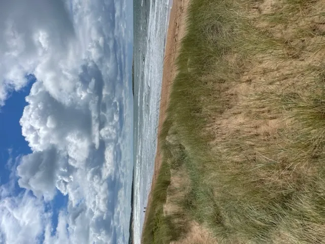 Hyresbostad på Halmstad i halmstad