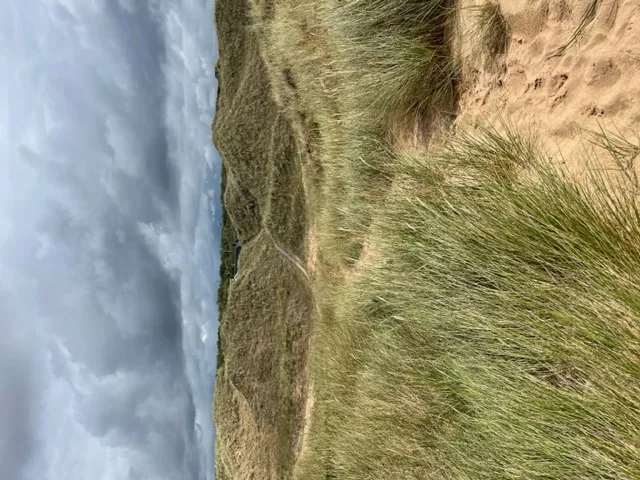 Hyresbostad på Halmstad i halmstad