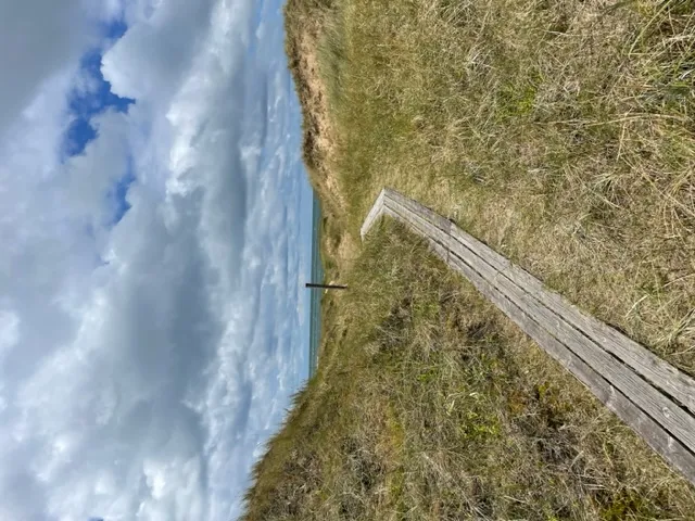 Hyresbostad på Halmstad i halmstad