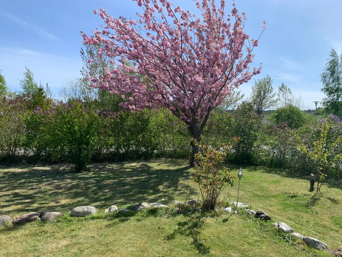 Hyresbostad på Simrishamn i simrishamn