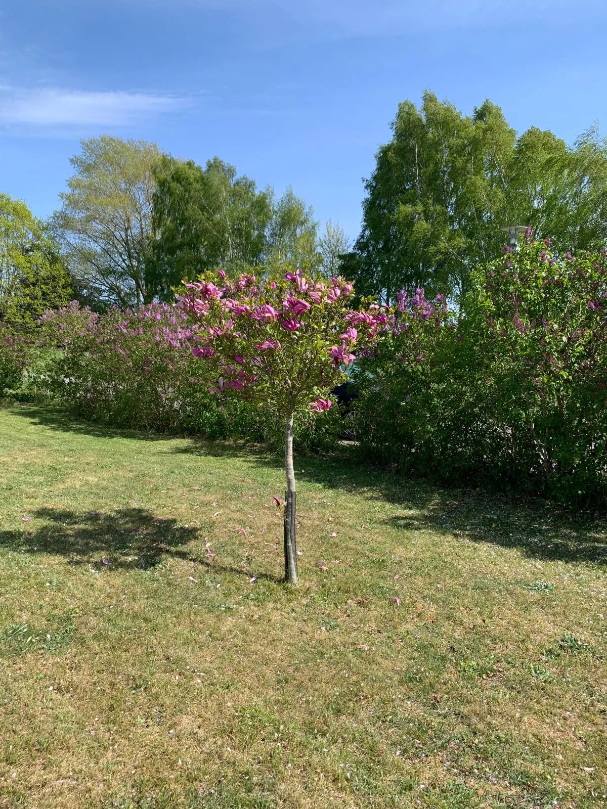 Hyresbostad på Simrishamn i simrishamn