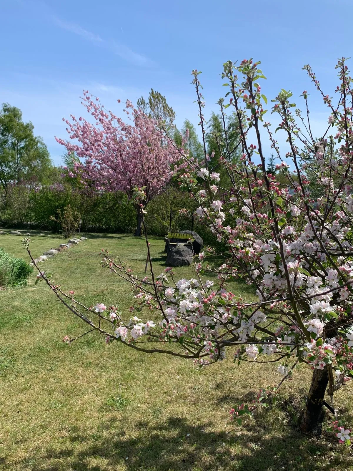 Hyresbostad på Simrishamn i simrishamn