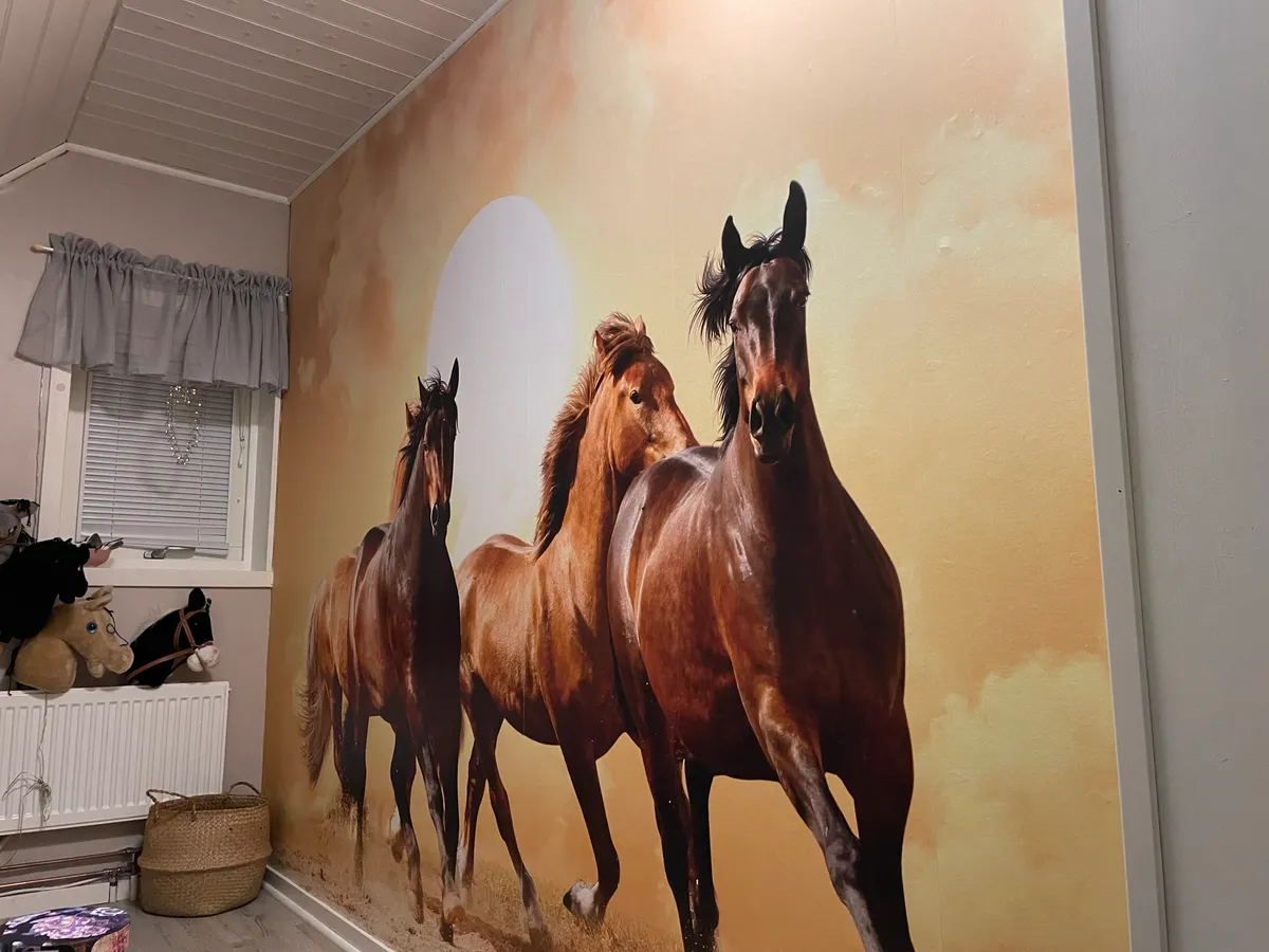 Hyresbostad på Laholm i laholm