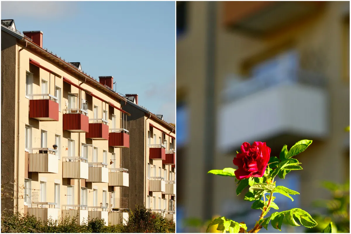 Hyreslägenhet på Uddevalla i uddevalla