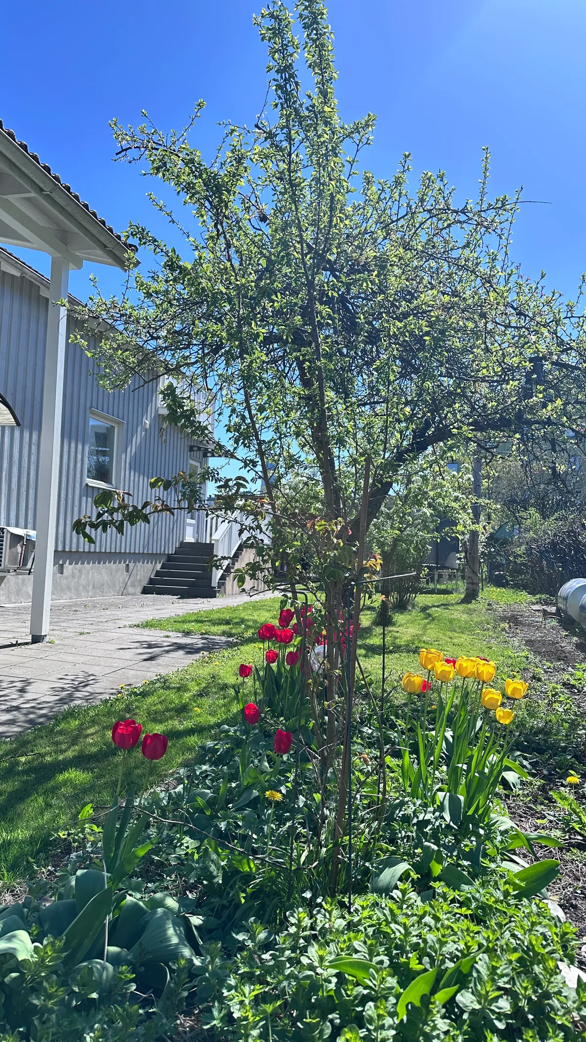 Hyresbostad på Göteborg i goteborg