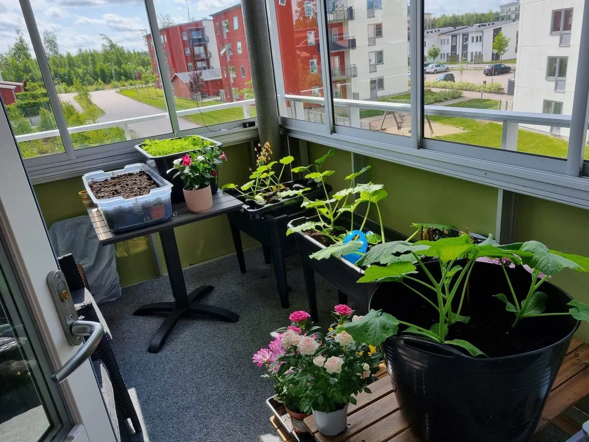 Hyreslägenhet på Älmhult i almhult