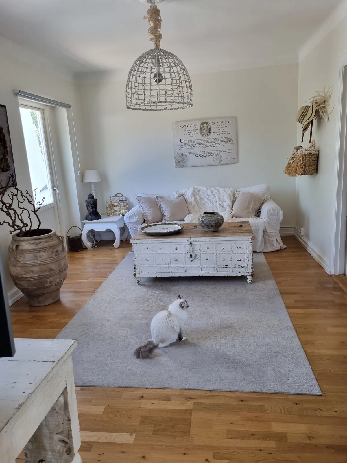 Hyreslägenhet på Helsingborg i helsingborg