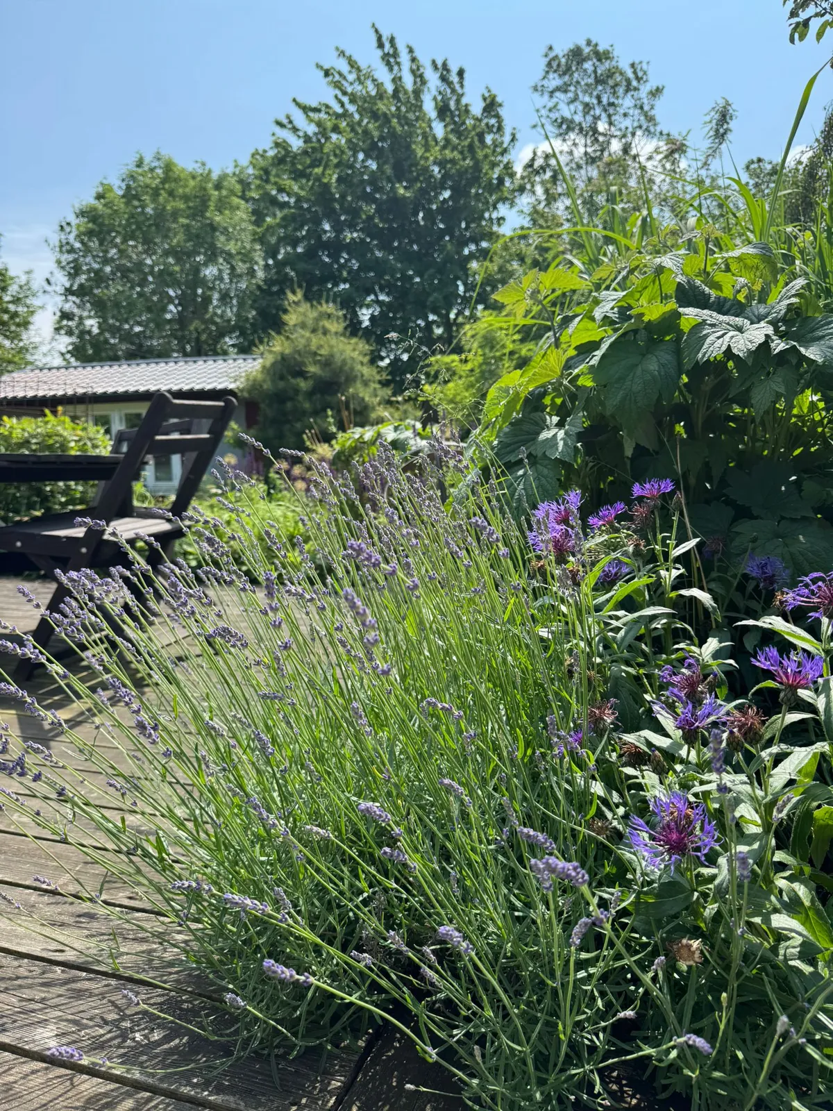 Hyresbostad på Kävlinge i kavlinge