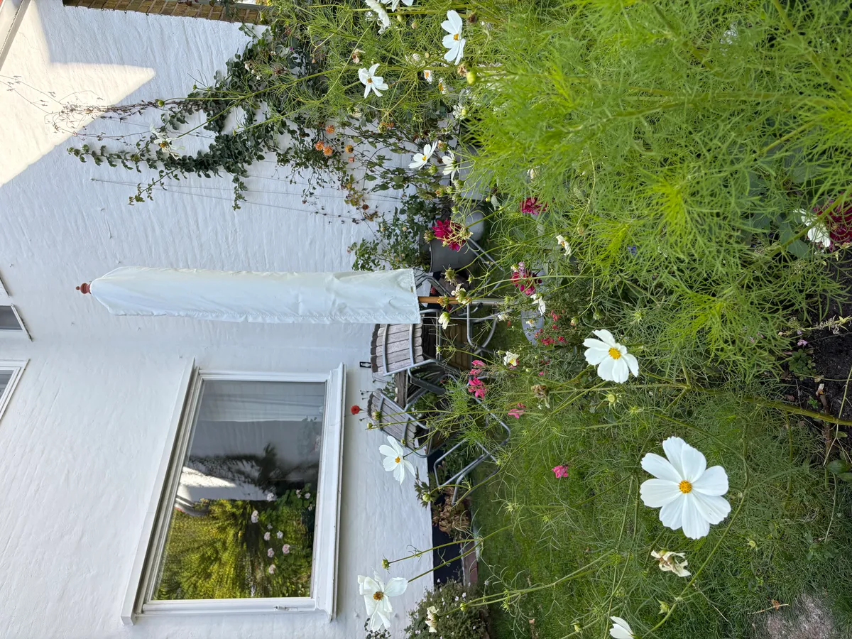 Hyresbostad på Malmö i malmo