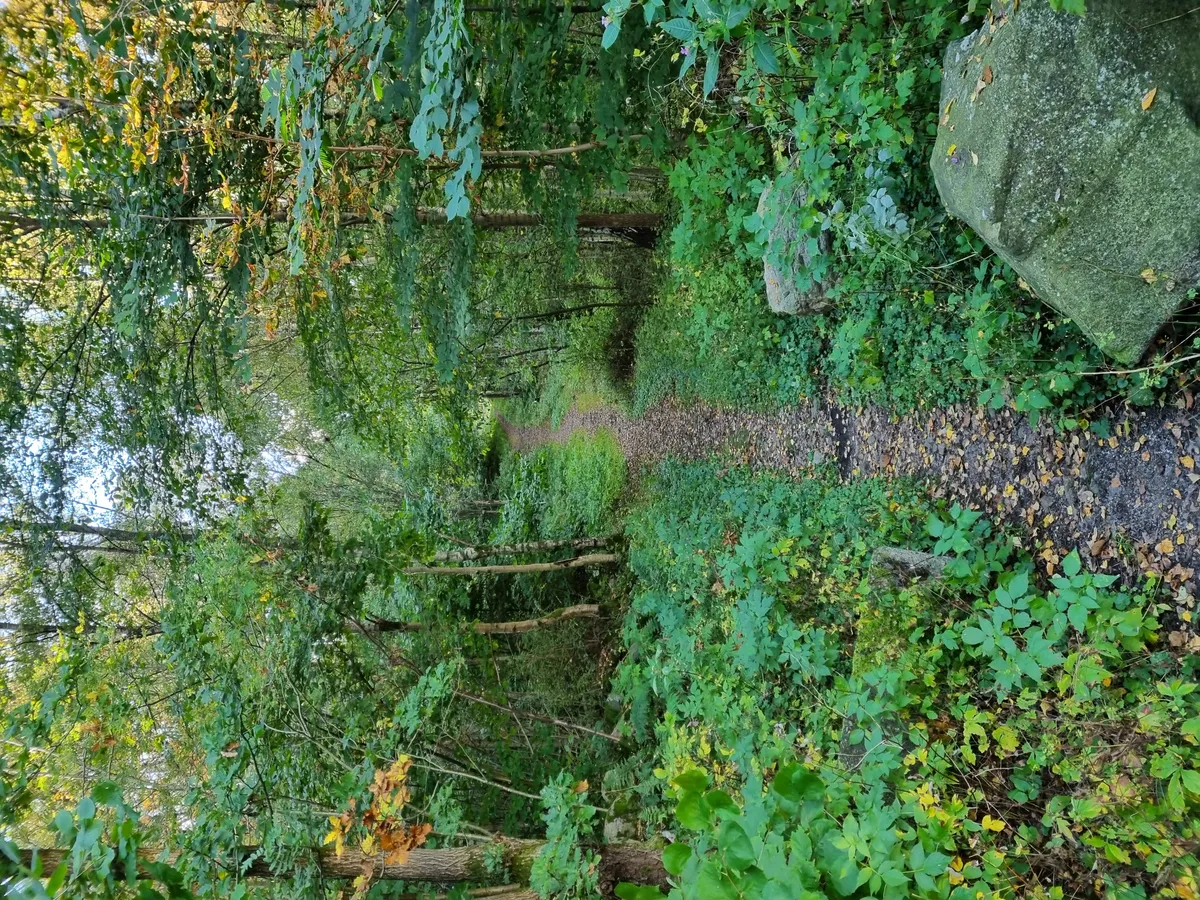 Hyreslägenhet på Göteborg i goteborg