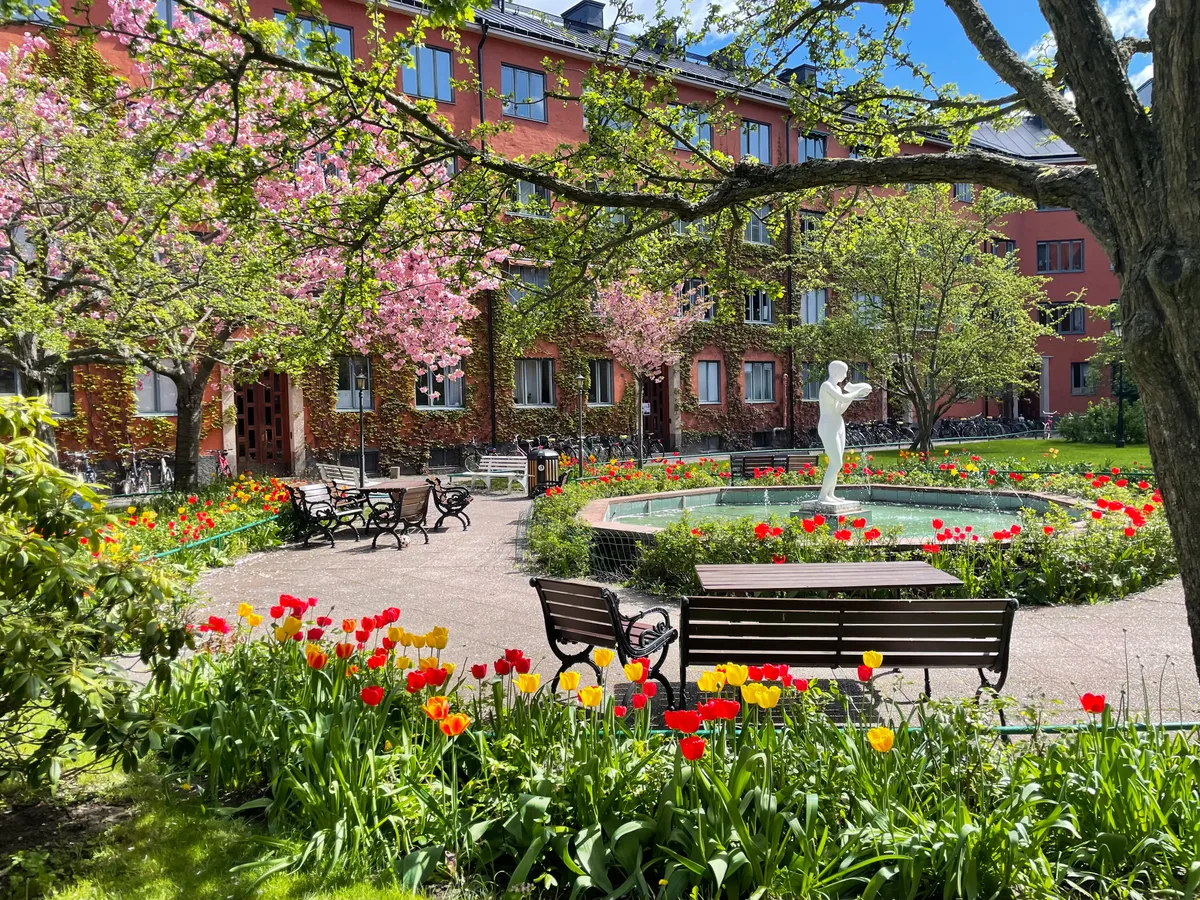 Hyreslägenhet på Stockholm i stockholm