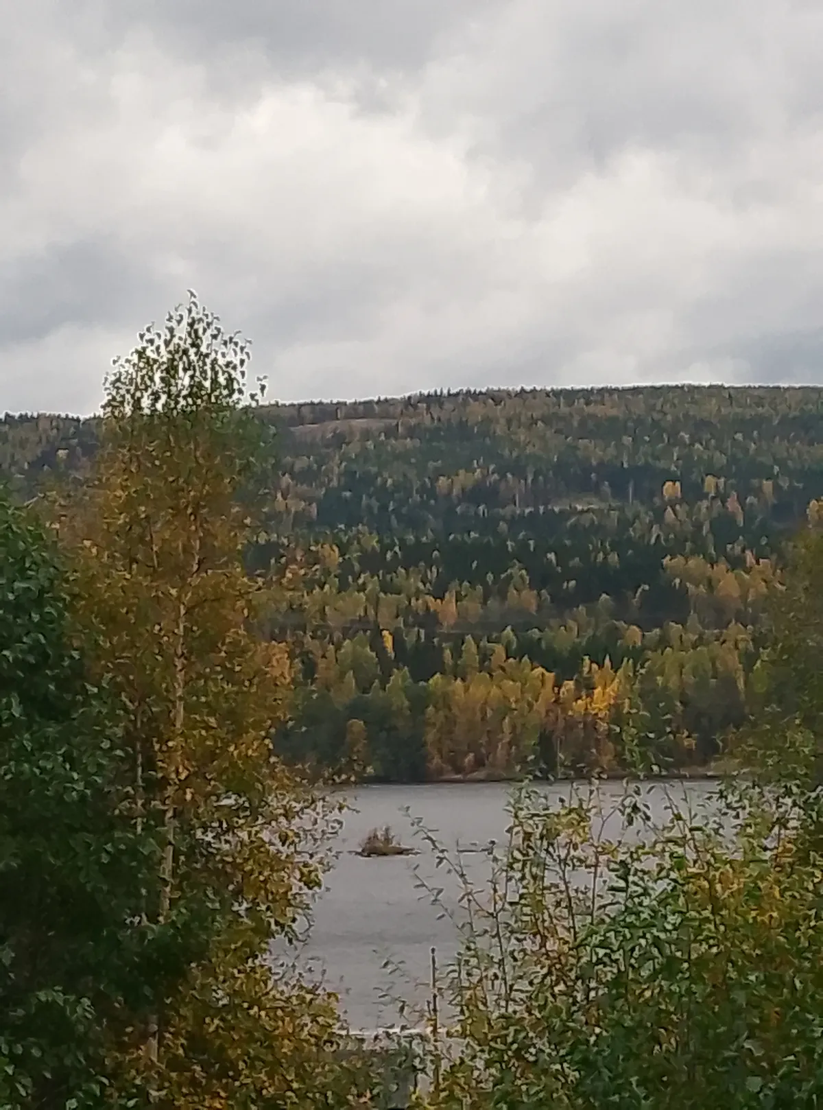 Hyresbostad på Sundsvall i sundsvall