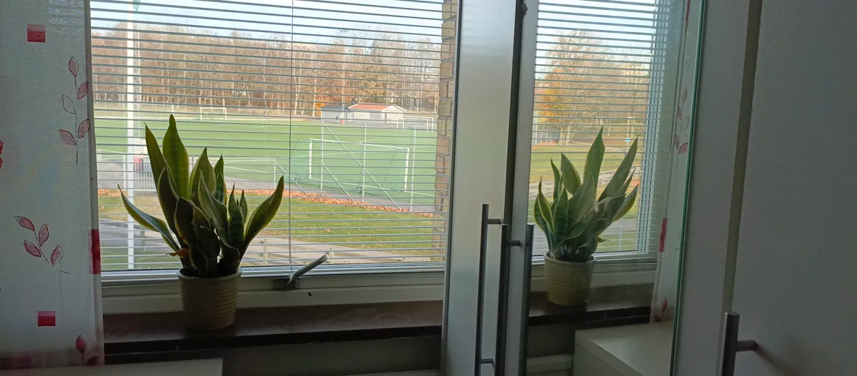 Hyreslägenhet på Växjö i vaxjo