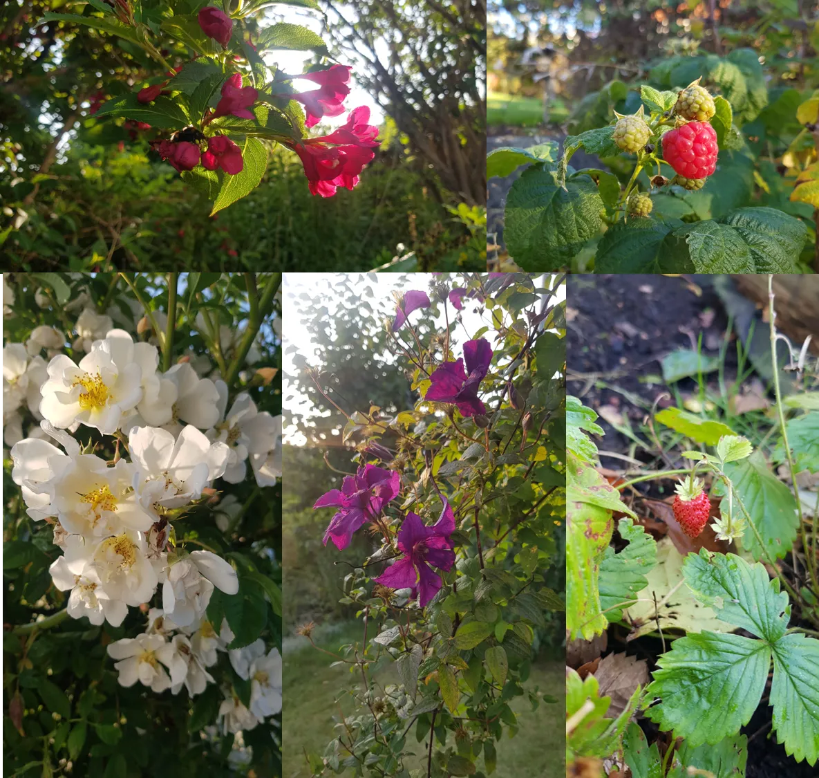 Hyresbostad på Hisings Backa i hisings-backa