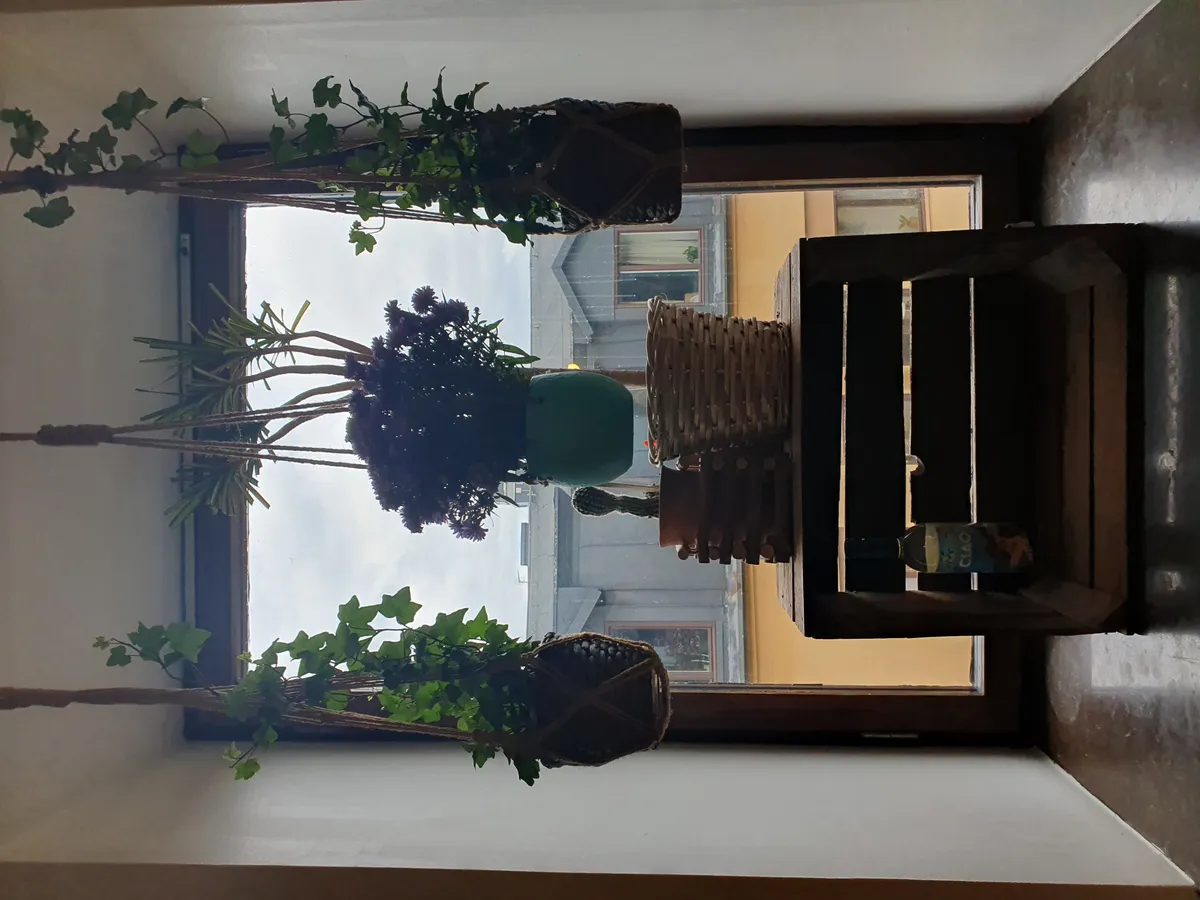 Hyreslägenhet på Malmö i malmo