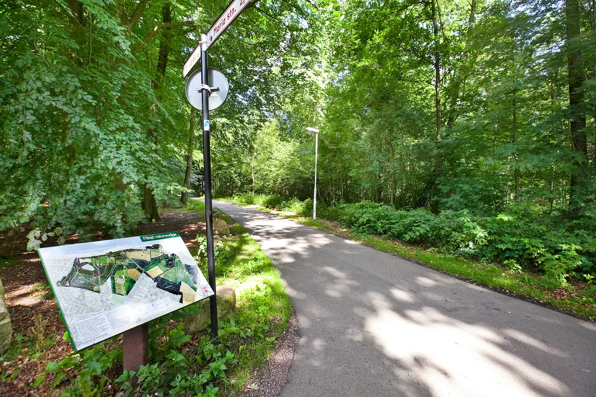 Hyreslägenhet på Helsingborg i helsingborg