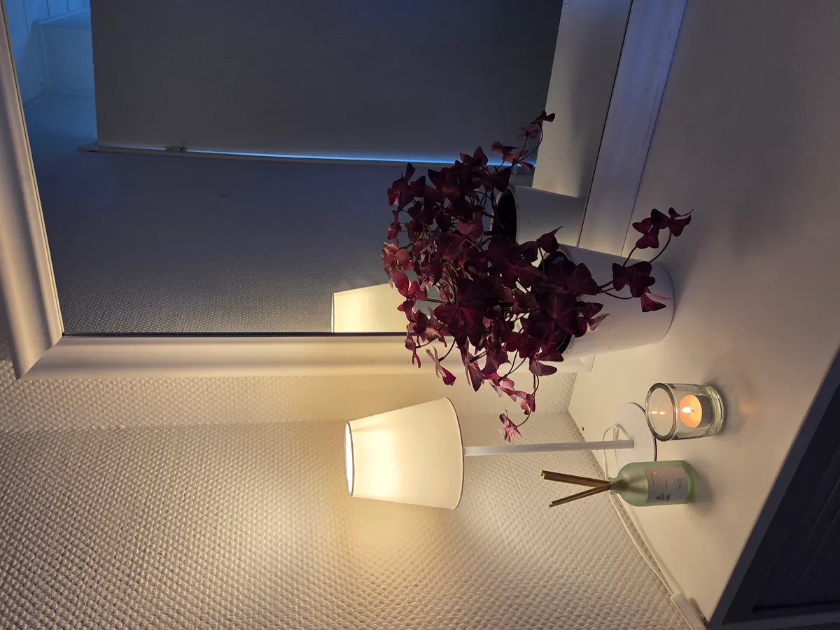 Hyreslägenhet på Visby i visby