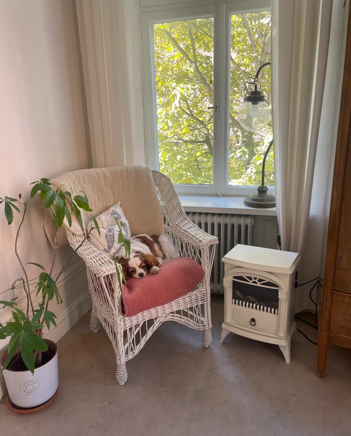 Hyreslägenhet på Stockholm i stockholm