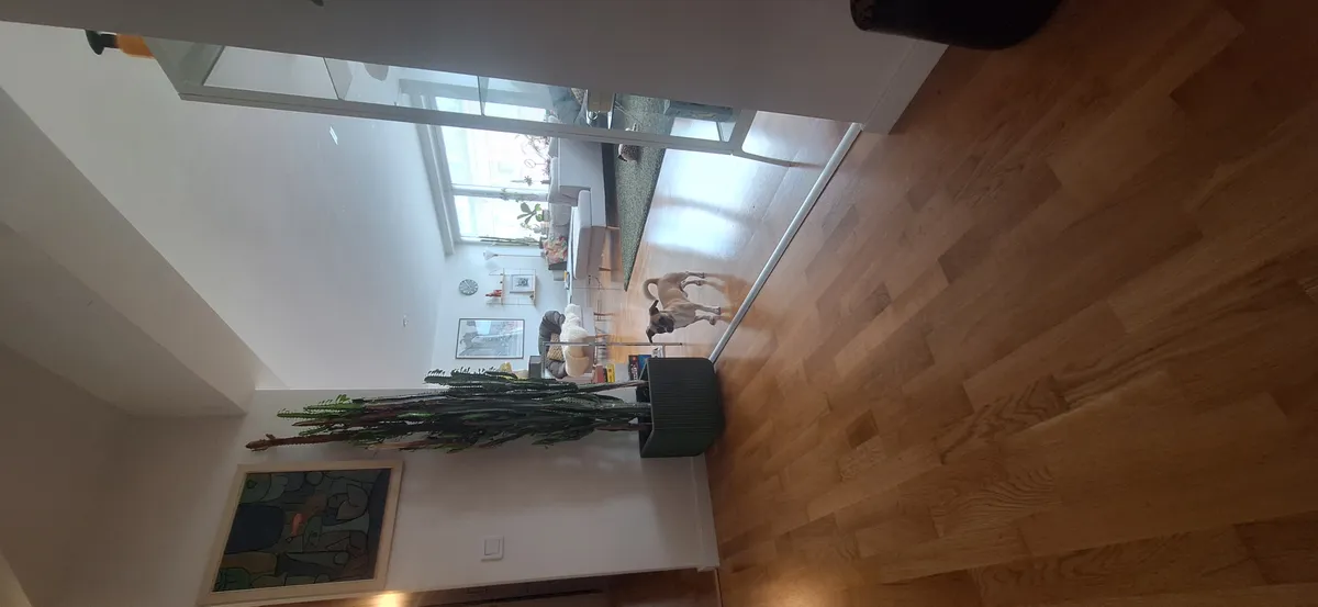 Hyreslägenhet på Malmö i malmo