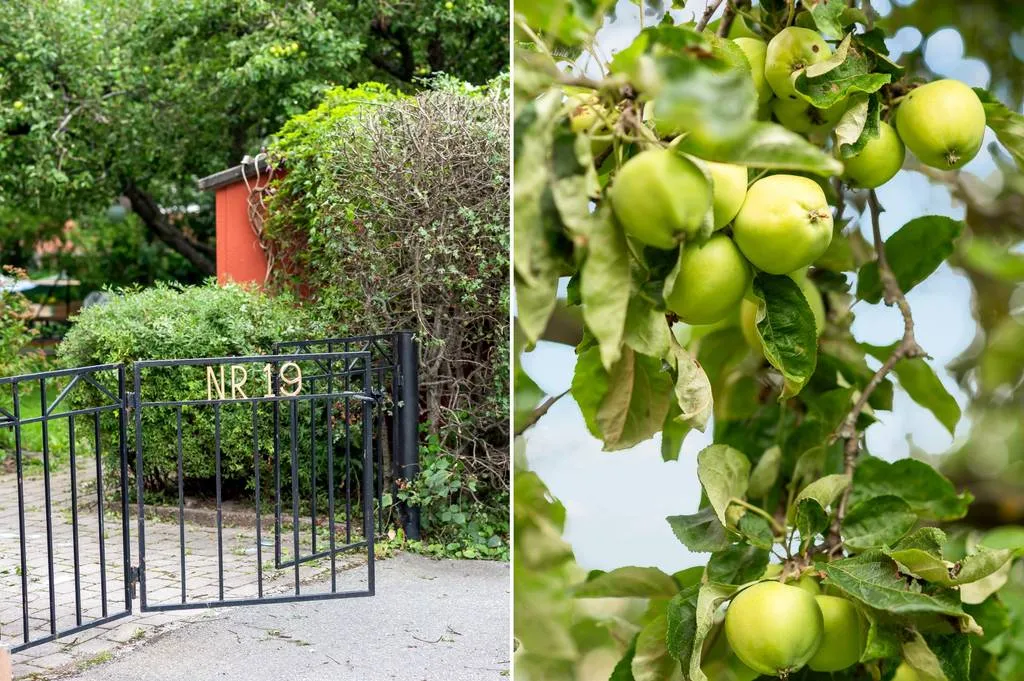 Hyreslägenhet på Uppsala i uppsala