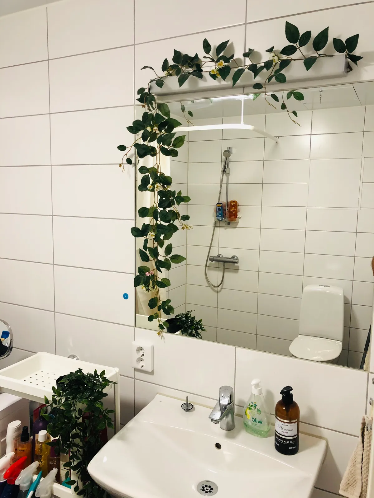 Hyreslägenhet på Bro i bro