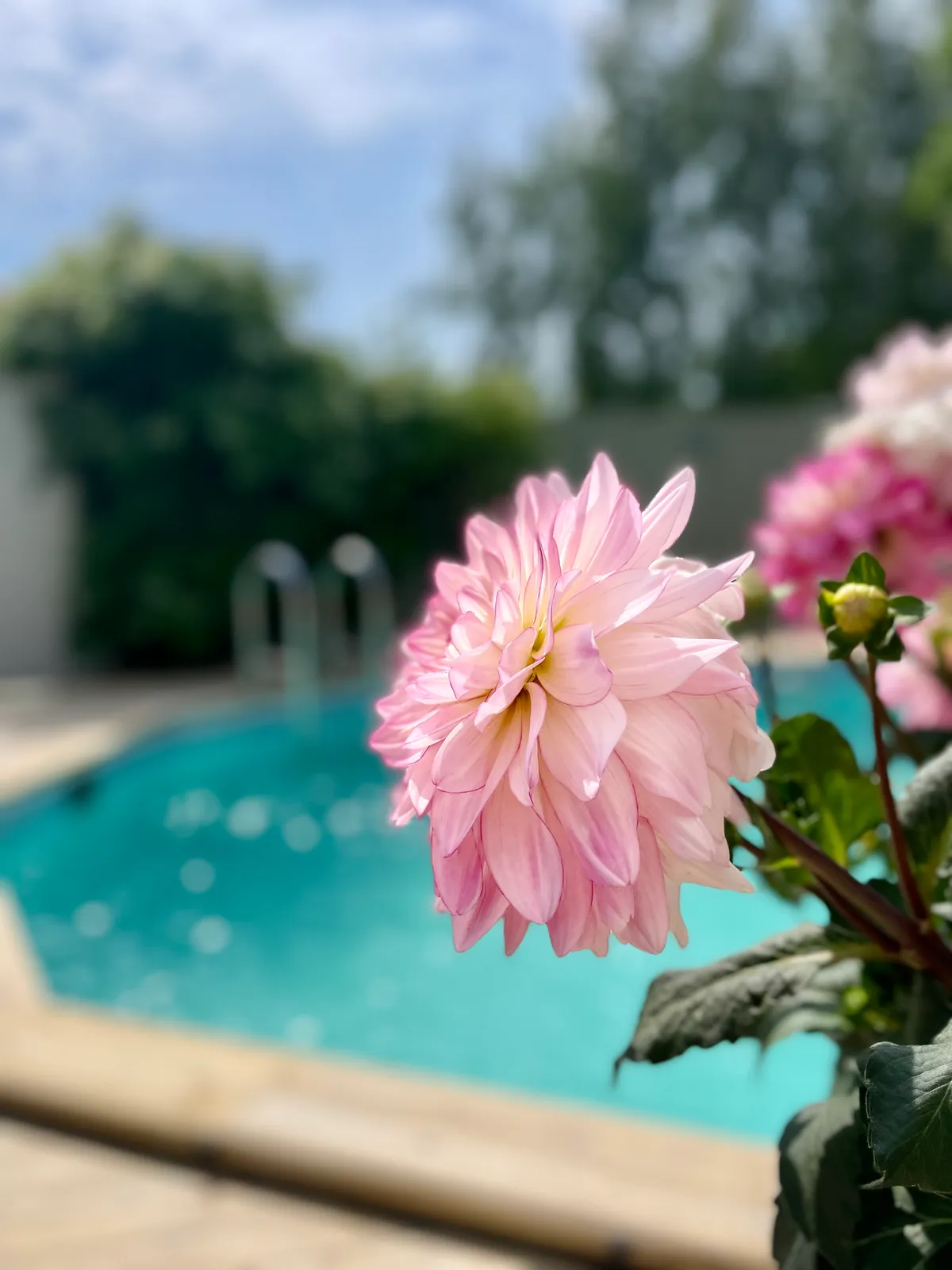 Hyresbostad på Värmdö i varmdo