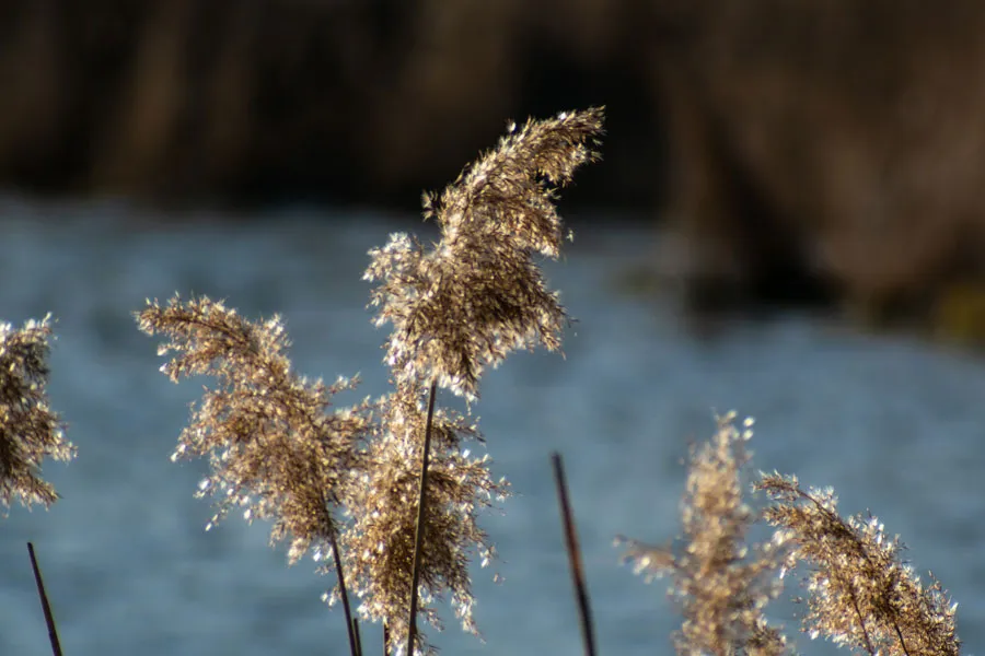 Hyreslägenhet på Farsta i farsta