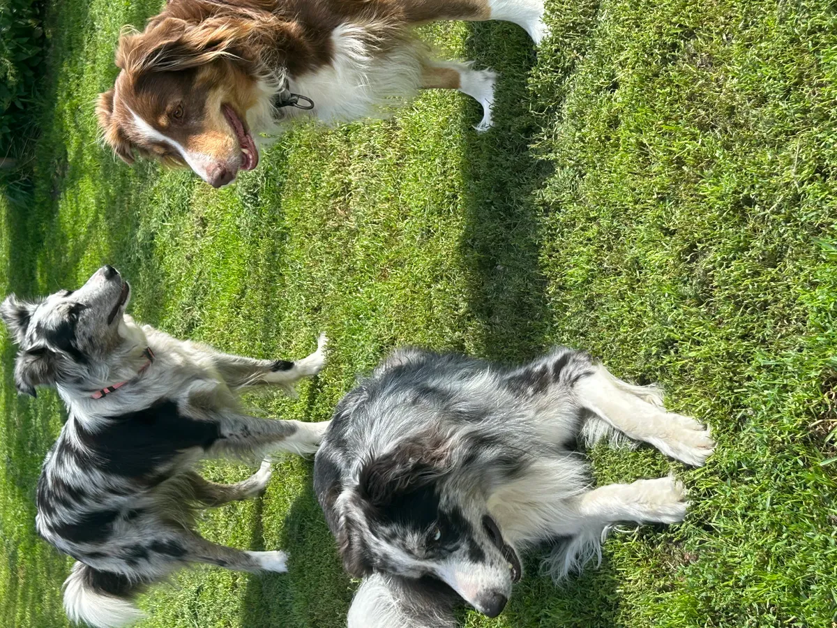 Hyresbostad på Östhammar i osthammar