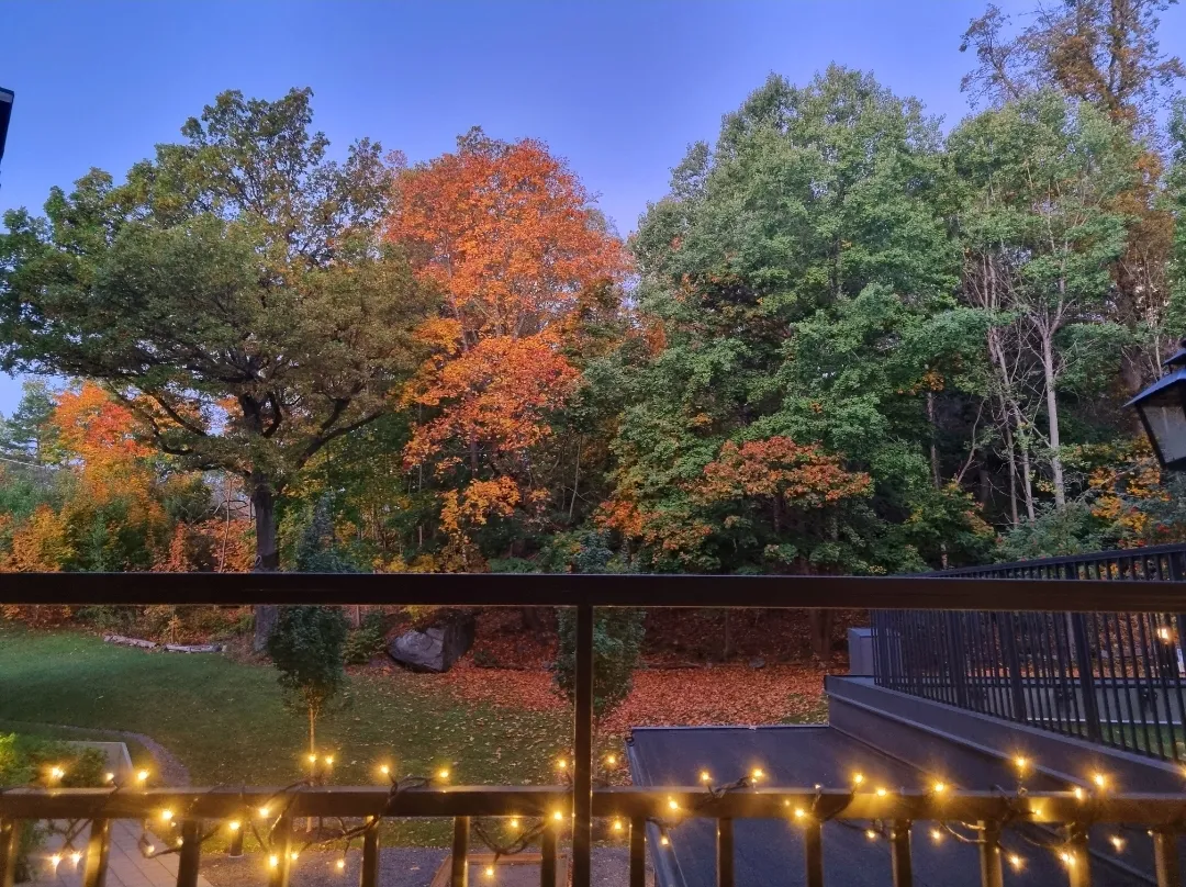 Hyreslägenhet på Bandhagen i bandhagen