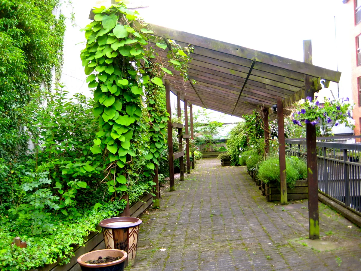 Hyreslägenhet på Helsingborg i helsingborg