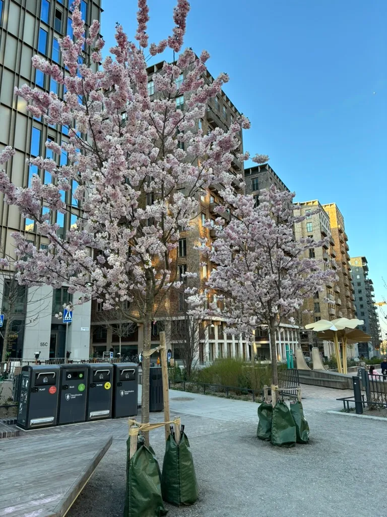 Hyreslägenhet på Stockholm i stockholm
