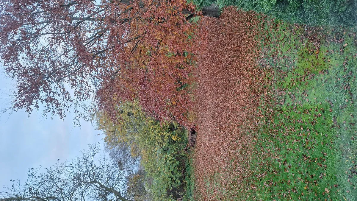 Hyresbostad på Landskrona i landskrona