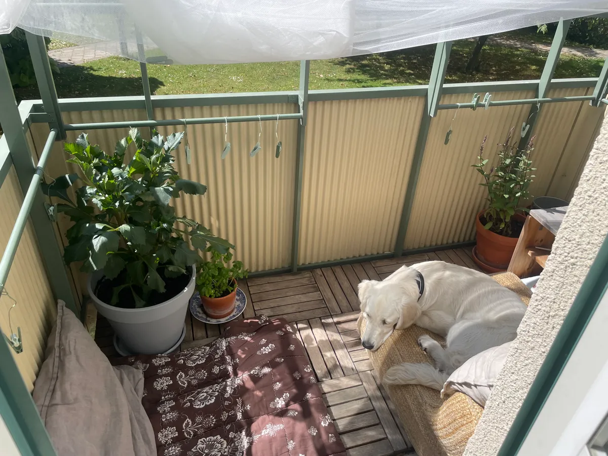 Hyreslägenhet på Malmö i malmo