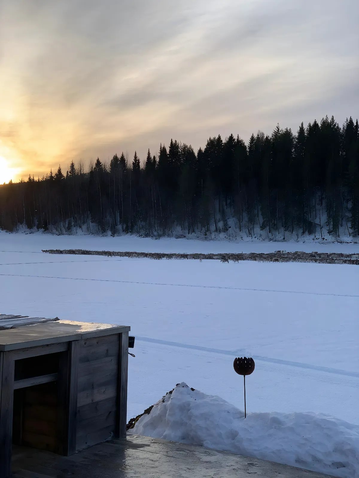 Hyresbostad på Vindeln i vindeln
