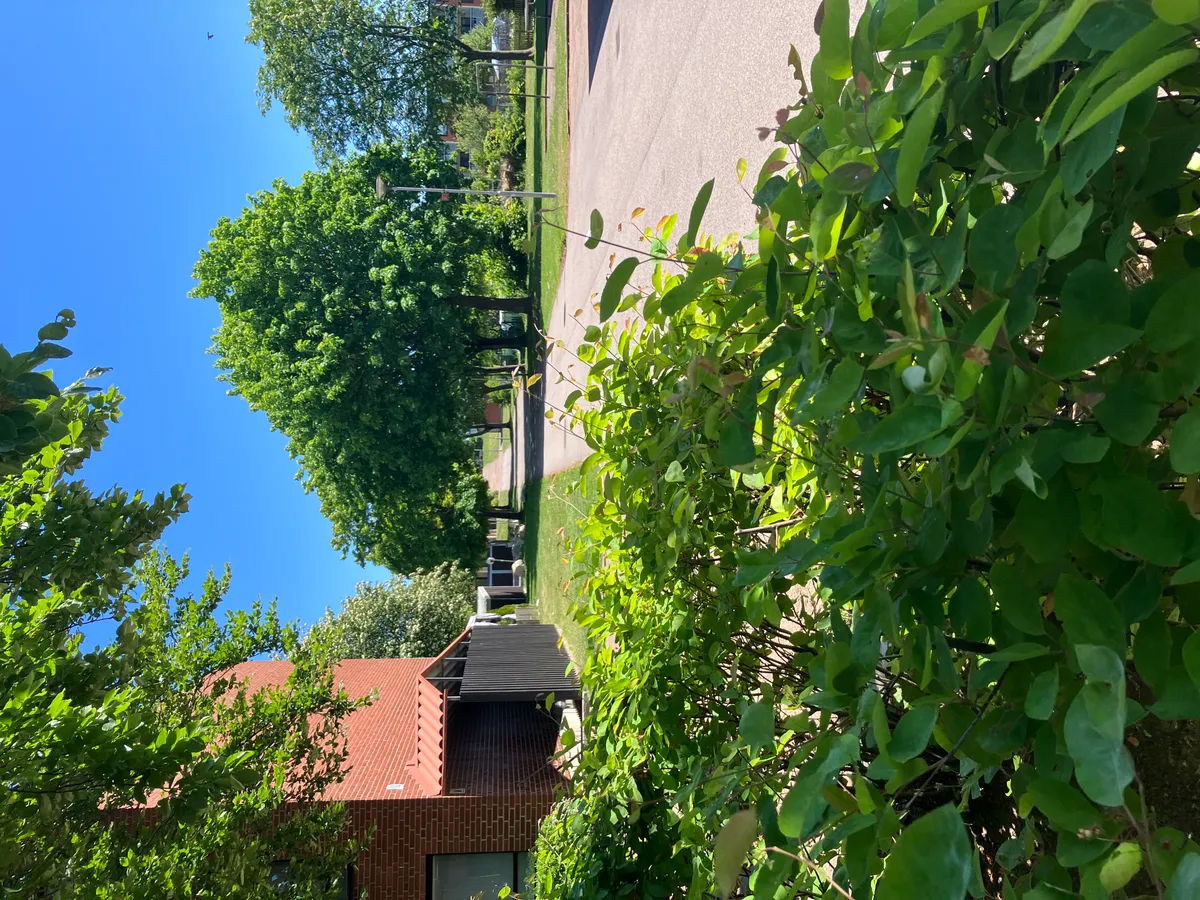 Hyreslägenhet på Helsingborg i helsingborg