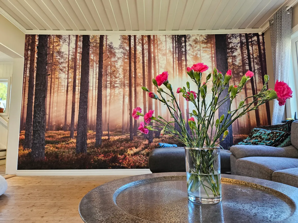 Hyresbostad på Skellefteå i skelleftea