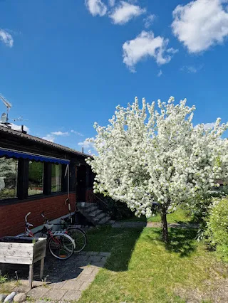 Hyresbostad på Katrineholm i katrineholm