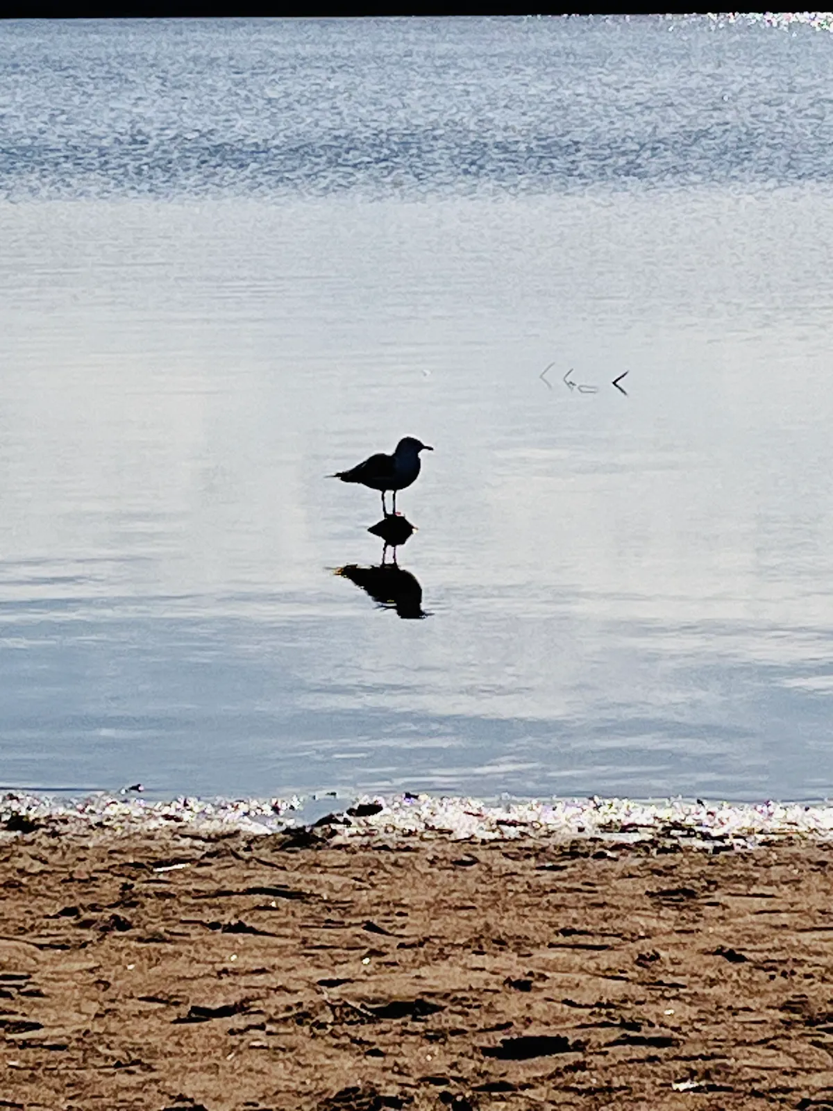 Hyreslägenhet på Göteborg i goteborg