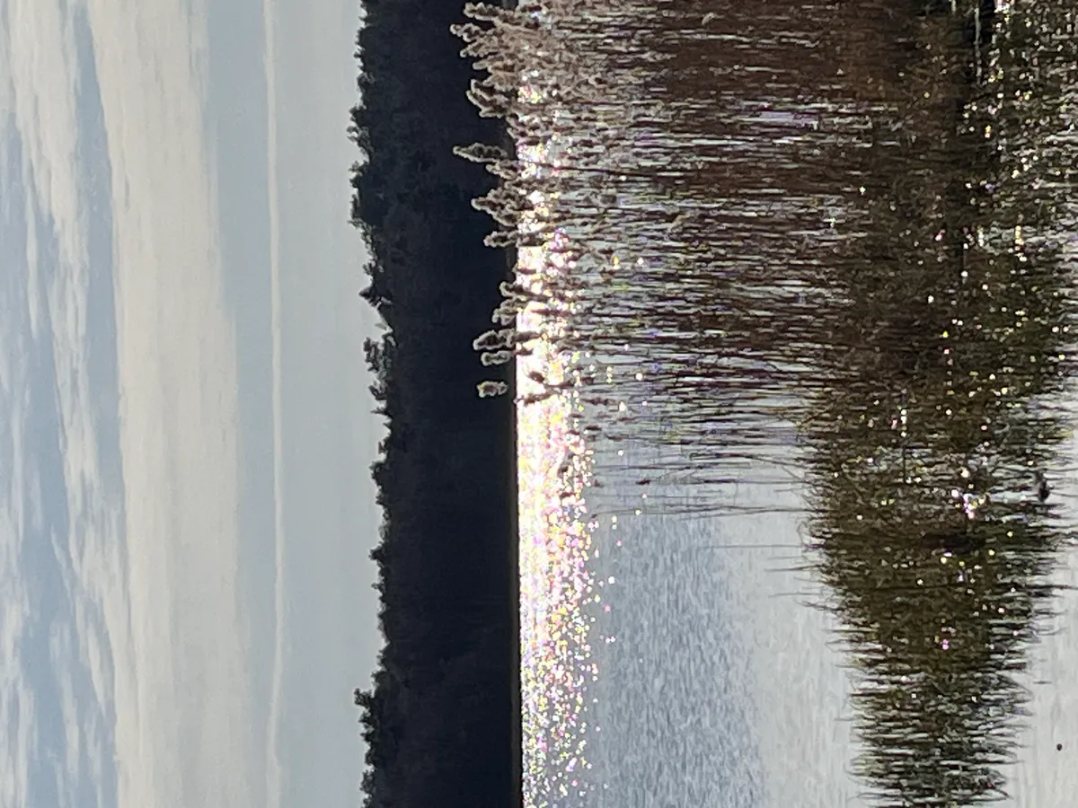 Hyreslägenhet på Göteborg i goteborg