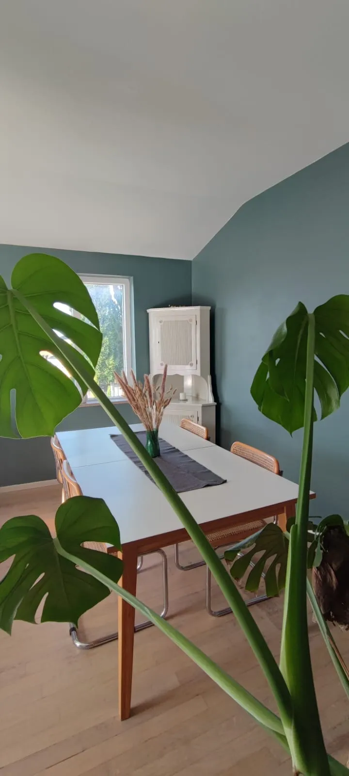 Hyreslägenhet på Visby i visby