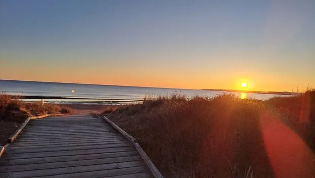 Hyresbostad på Halmstad i halmstad