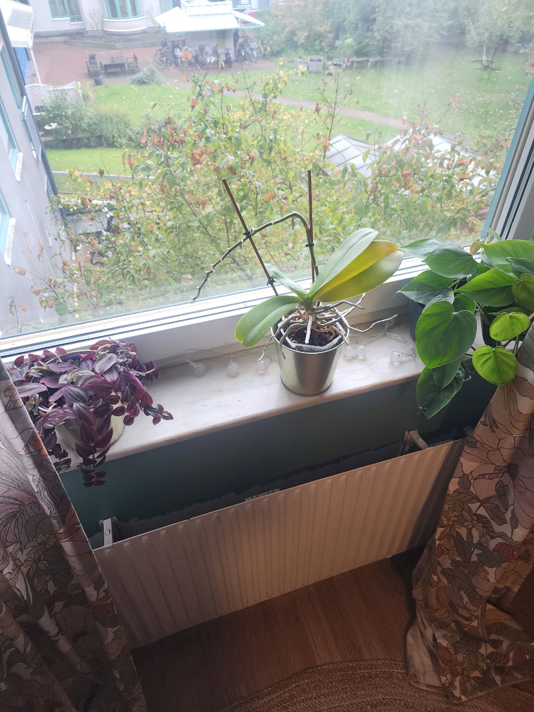 Hyreslägenhet på Malmö i malmo