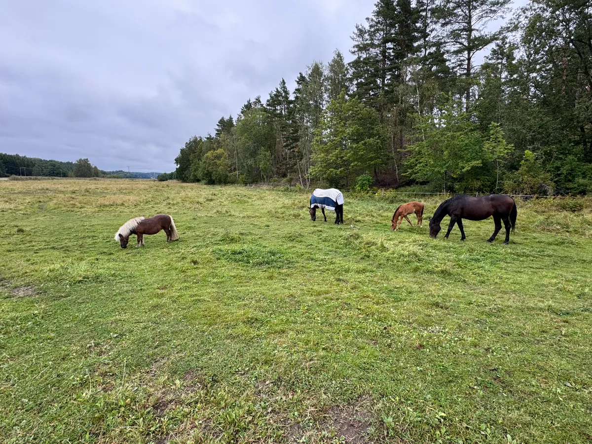 Hyresbostad på Sorunda i sorunda