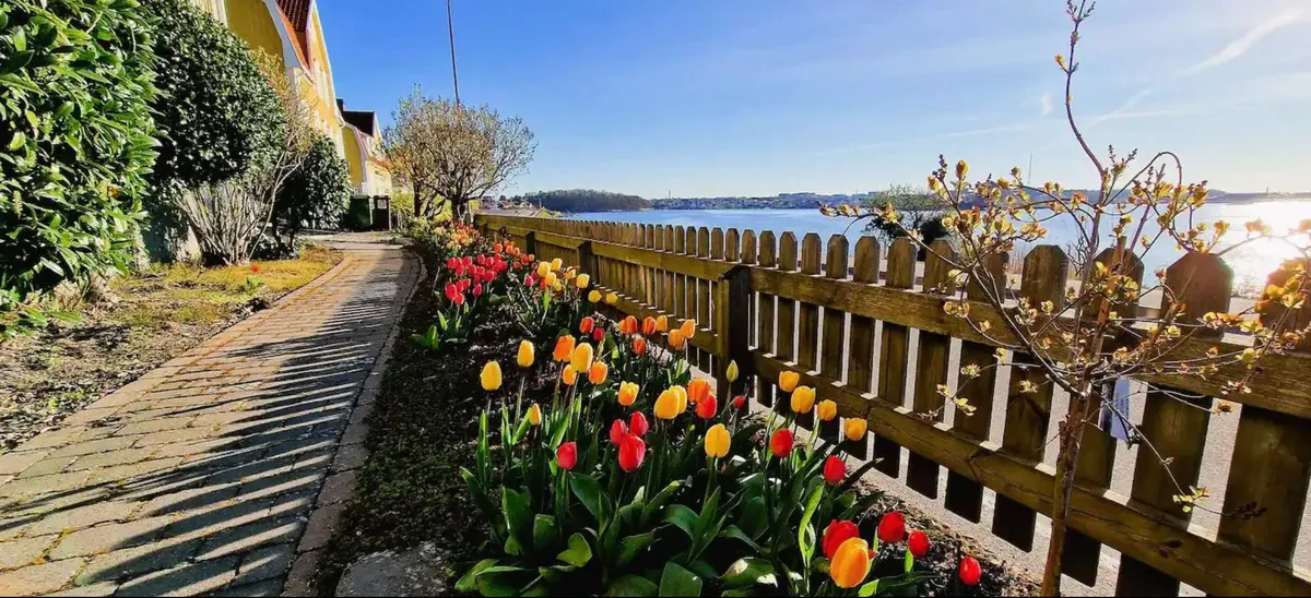 Hyresbostad på Karlskrona i karlskrona