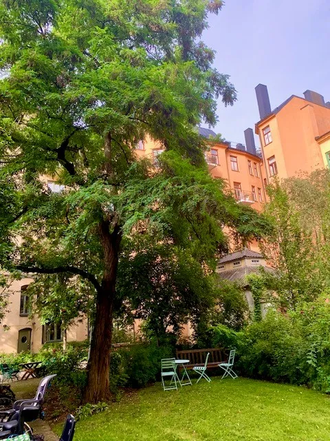 Hyreslägenhet på Stockholm i stockholm