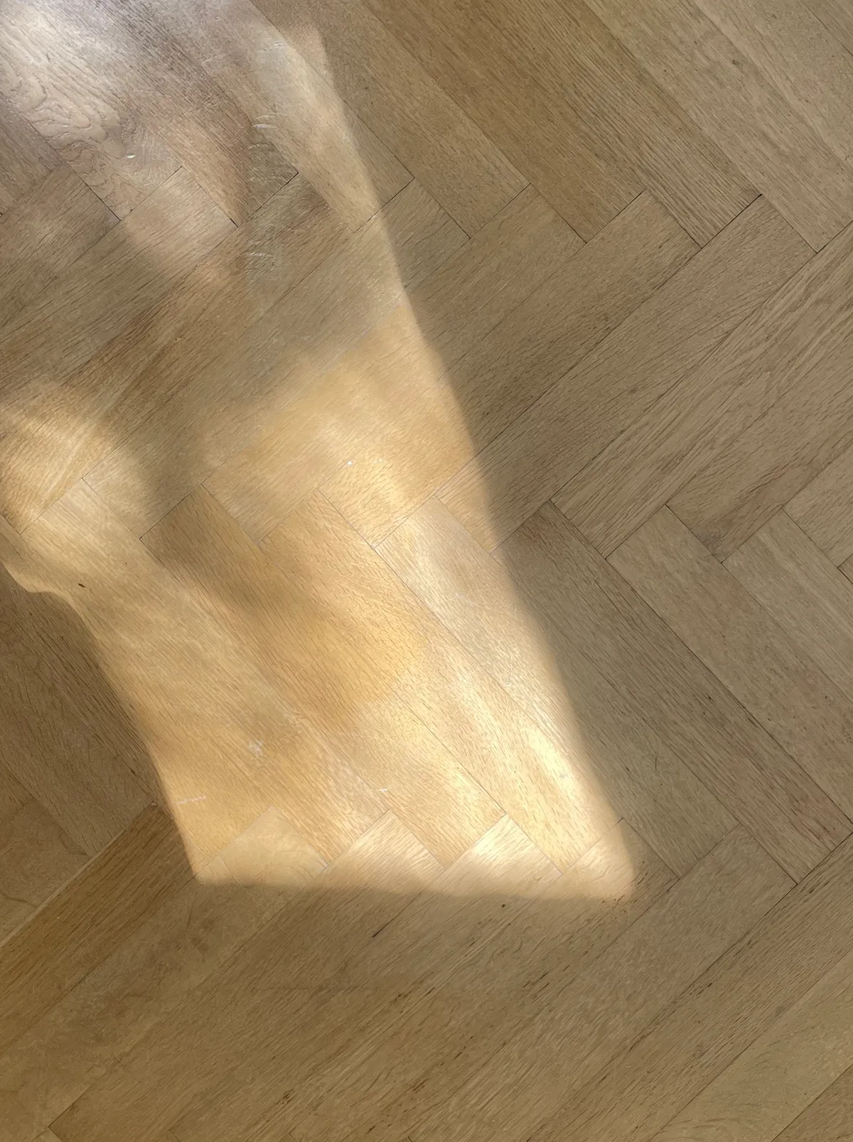 Hyreslägenhet på Malmö i malmo